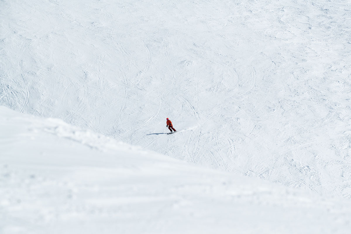 Salomon Stance 94 all-mountain ski (far shot)